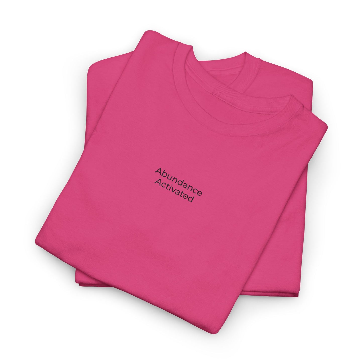 Abundance Activated Unisex Heavy Cotton Tee (Embroidered)