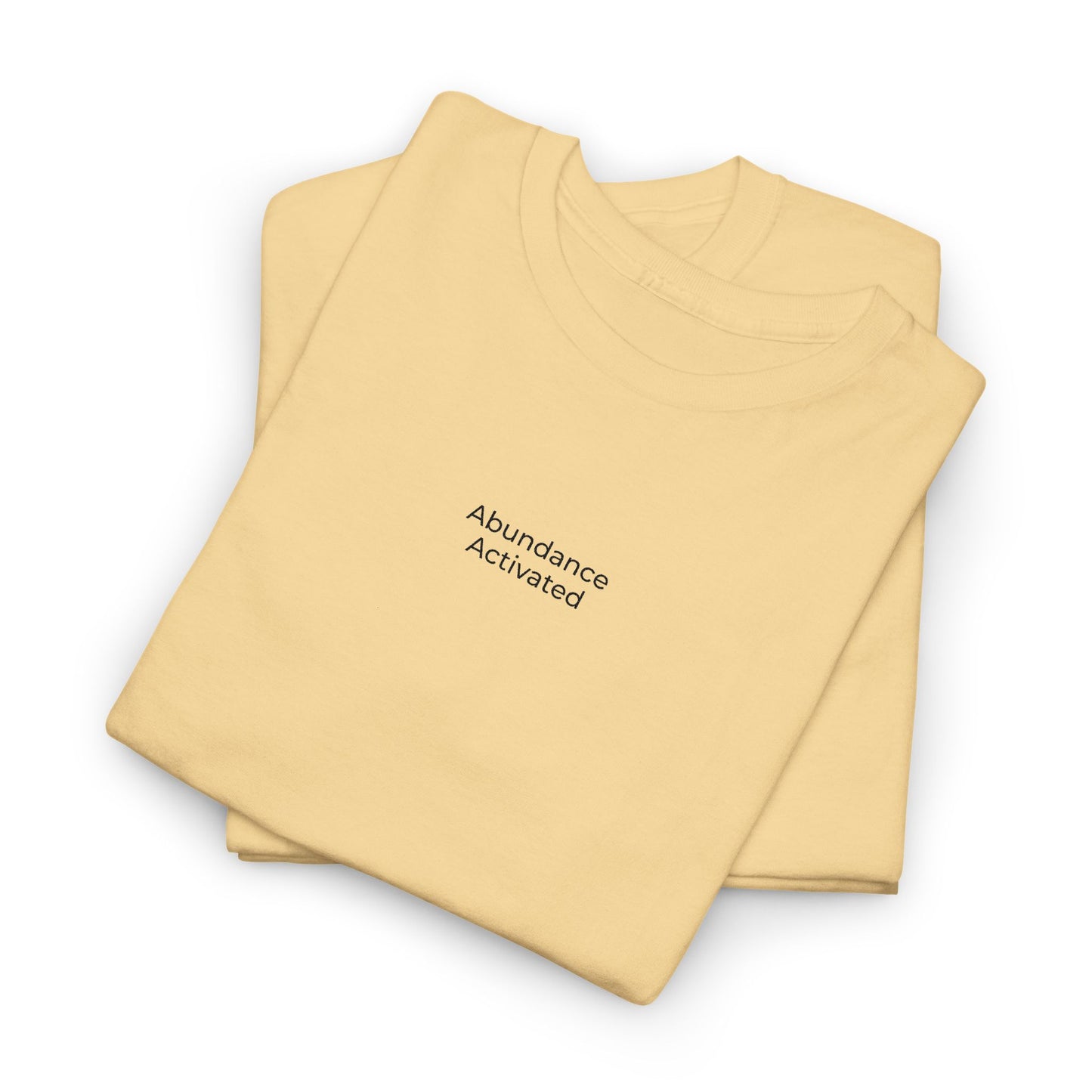 Abundance Activated Unisex Heavy Cotton Tee (Embroidered)