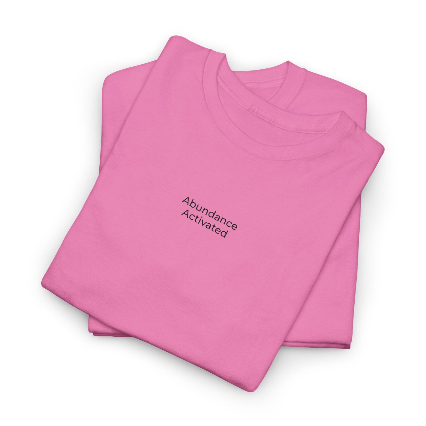 Abundance Activated Unisex Heavy Cotton Tee (Embroidered)